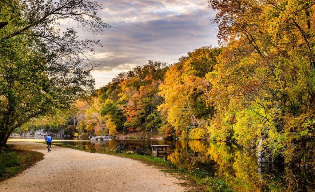 Moving Company in Potomac MD Moving Company in Potomac MD